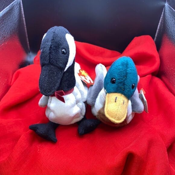 Ty BB Loosy the Canadian goose and Jake the mallard drake duck - Picture 1 of 5